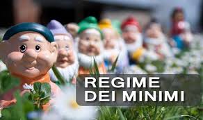 Nuovo regime dei minimi per imprenditori e professionisti