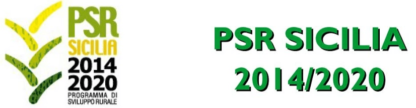 PSR Sicilia – misura 4.2: incentivi fino al 70% per innovazione e sostenibilità nelle aziende agricole