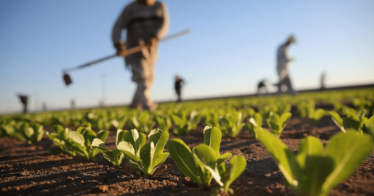 20.000 EURO DI FINANZIAMENTO A FONDO PERDUTO PER NUOVE IMPRESE IN ATTIVITA’ EXTRA-AGRICOLE