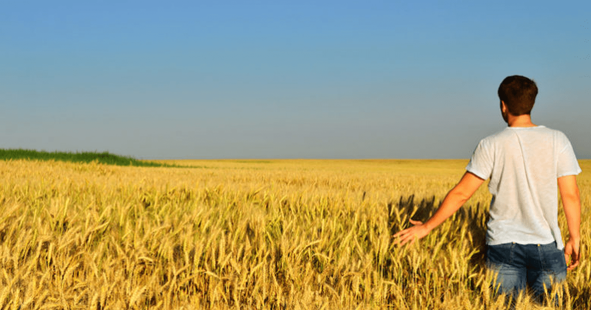 € 40.000,00 per giovani capo azienda in agricoltura